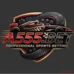 A555 Game